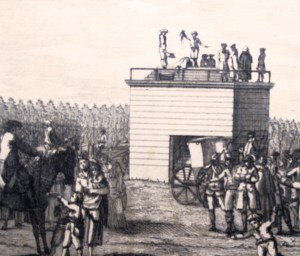 Från cell till Celle